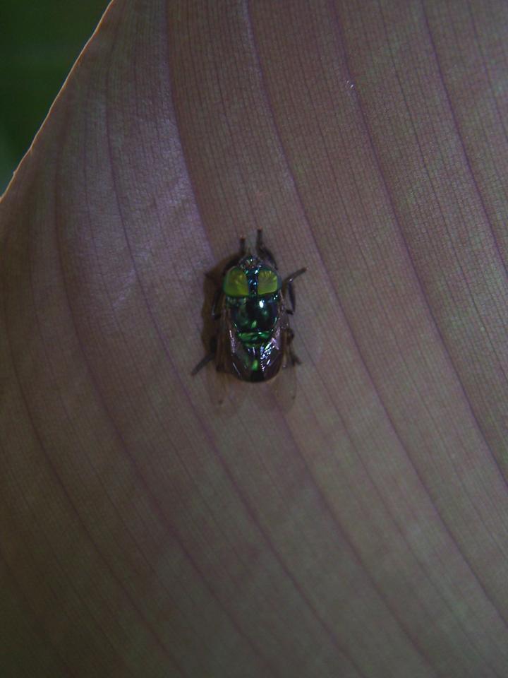 FIGURE 1 FIGURE 1
